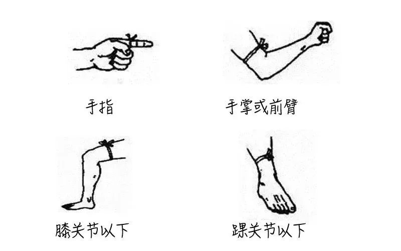 牙烟！事发东莞！车内惊现20斤重蟒蛇！