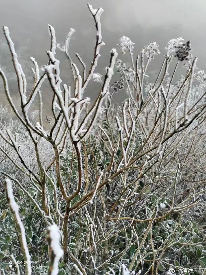 广东真的下雪了！最低-3°C，东莞明天更冷！