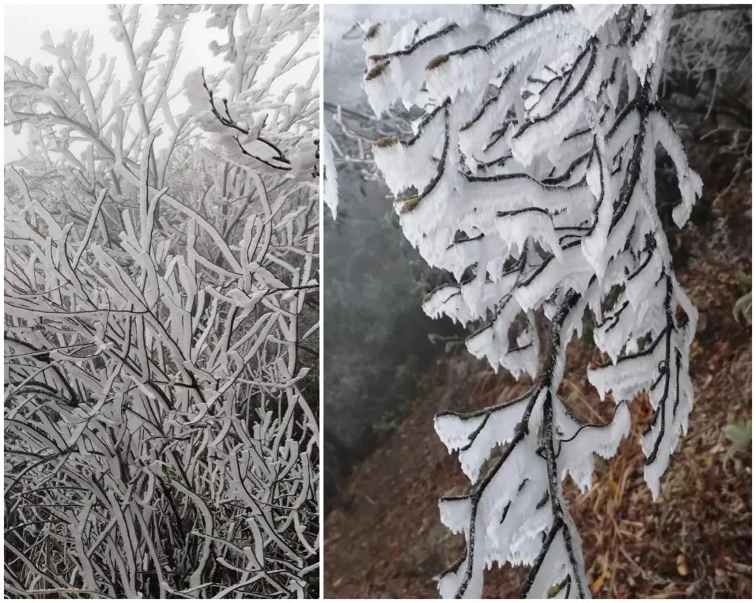 广东真的下雪了！最低-3°C，东莞明天更冷！
