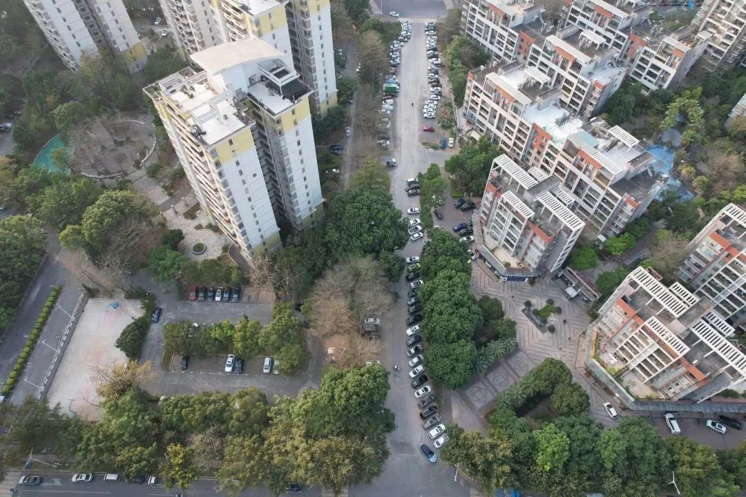 通车+3！东莞这些重要道路传来利好消息