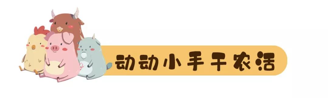 究竟咩事？元旦假期，东莞这里挤满了人人人！