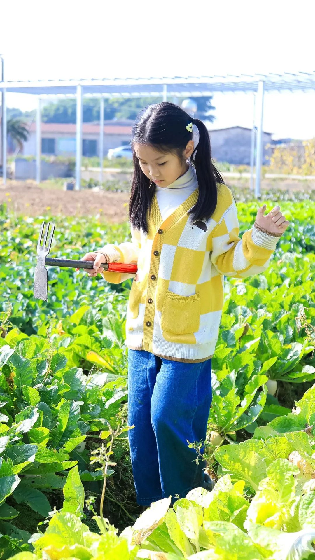 究竟咩事？元旦假期，东莞这里挤满了人人人！