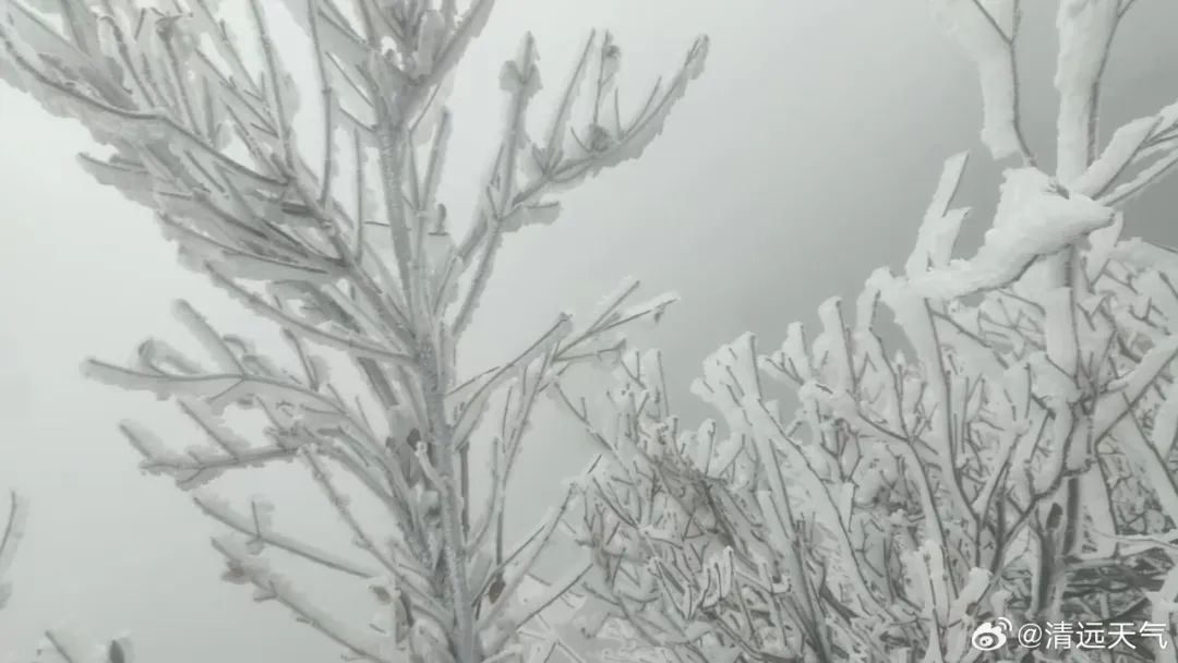 刚刚！广东下雪了！东莞寒冷预警升级！多条路段封闭！更可怕的是……