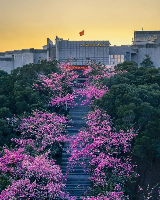 春节期间免门票！东莞18个A级景区打卡攻略来了！