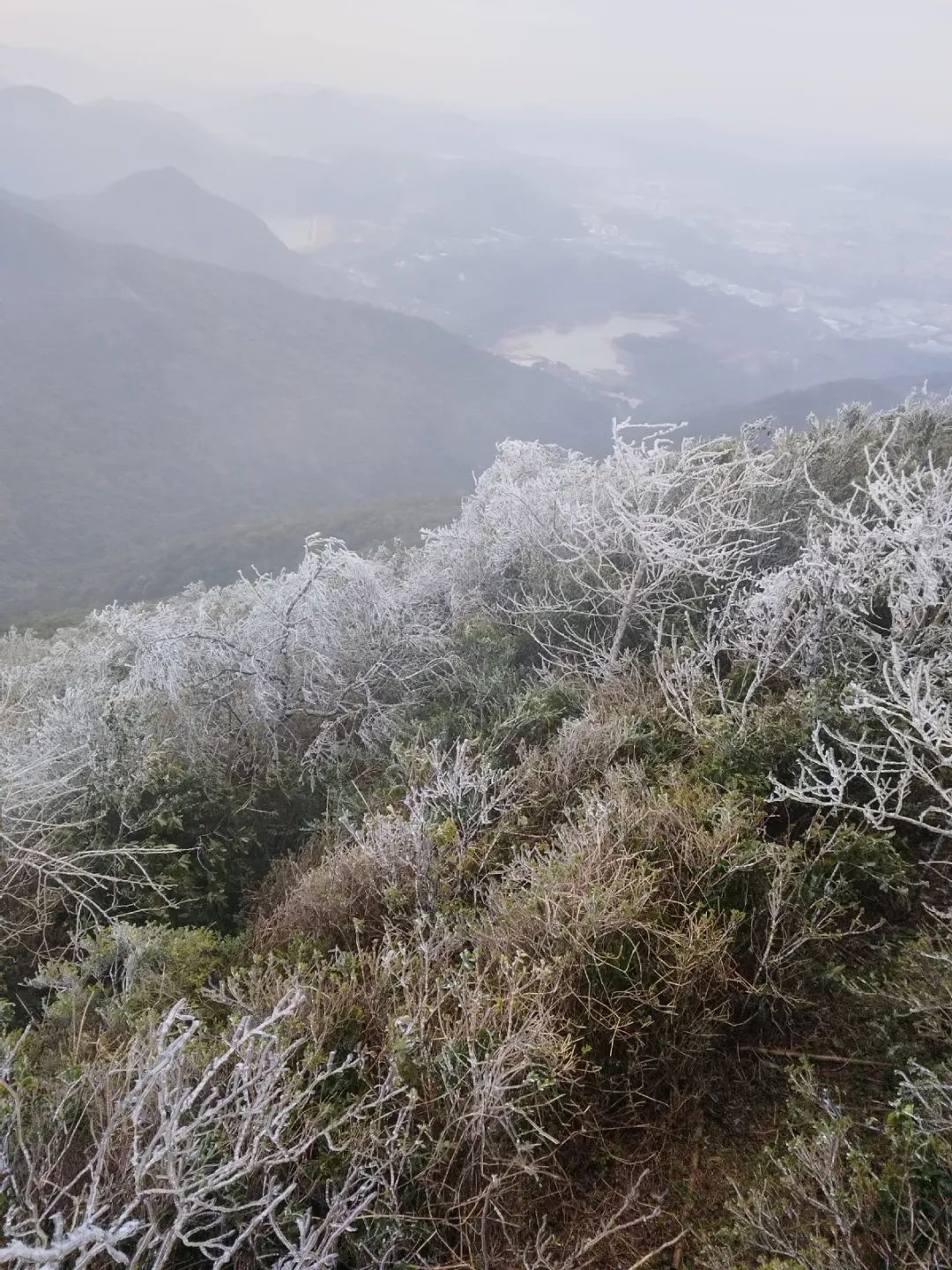 突发！东莞“下雪”了！