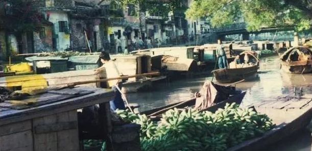 明天起！东莞这条河时隔24年重见天日！