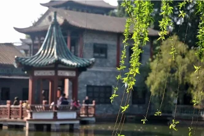 春节期间免门票！东莞18个A级景区打卡攻略来了！