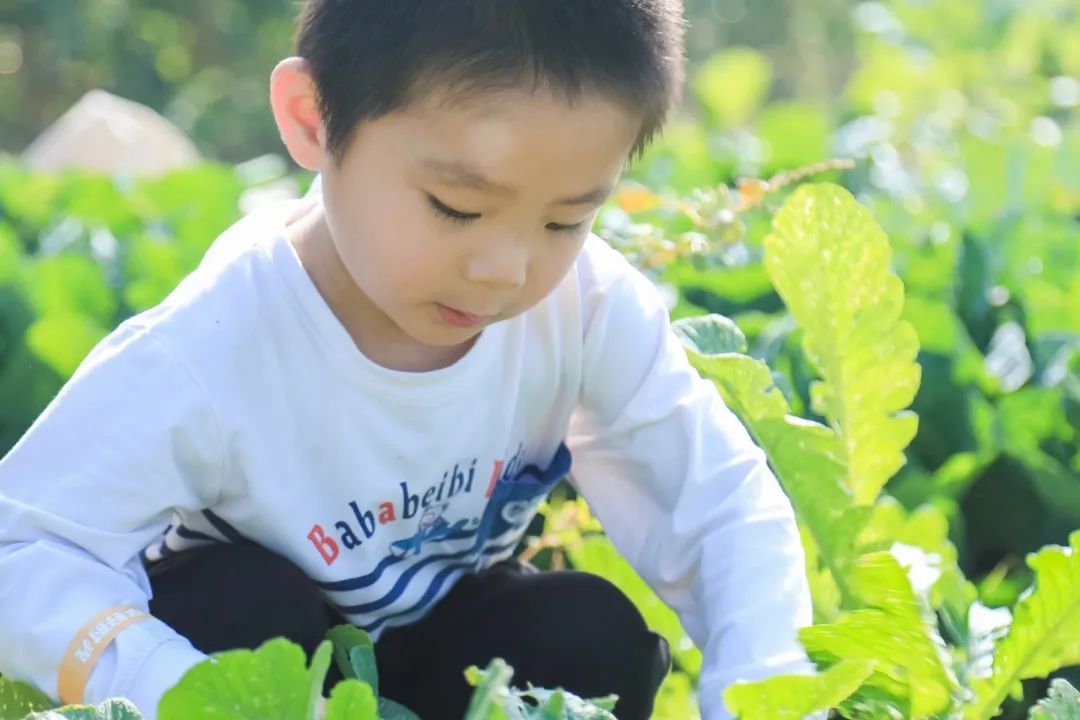 究竟咩事？元旦假期，东莞这里挤满了人人人！