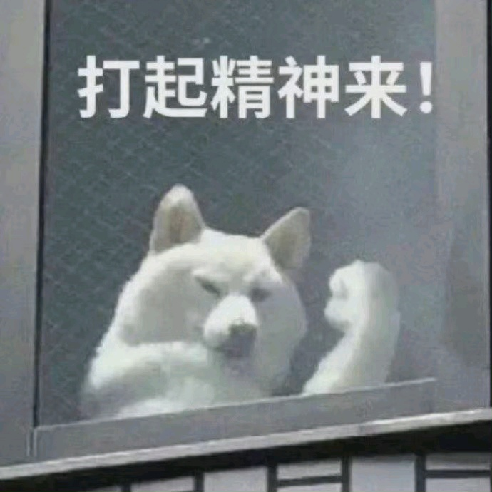 9人遇难,
