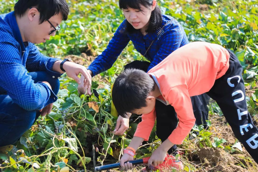 究竟咩事？元旦假期，东莞这里挤满了人人人！