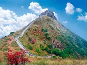 春节期间免门票！东莞18个A级景区打卡攻略来了！