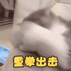 凌晨3点，东莞一女生怒发朋友圈：我发誓再也不当伴娘了！