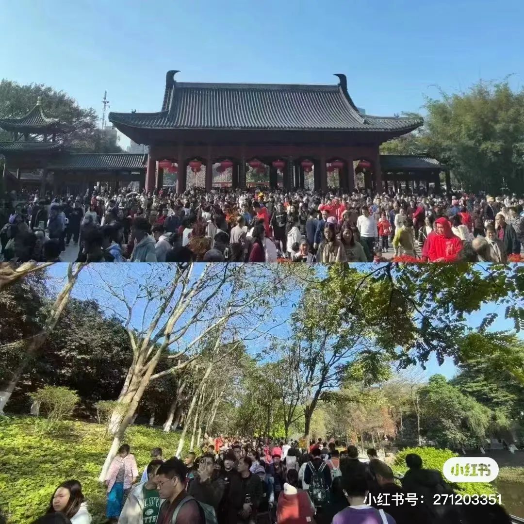 人从众！东莞人都去了这里！你去了吗？