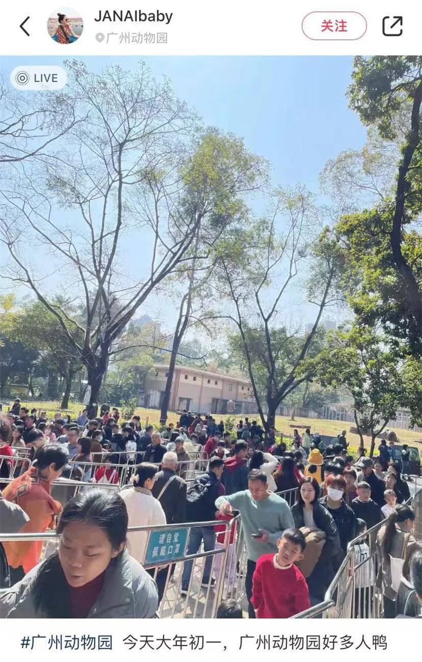 人从众！东莞人都去了这里！你去了吗？