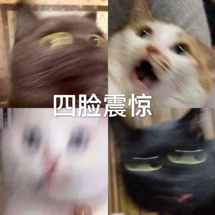 突发！东莞一4A景区宣布停业！很多人都去过！