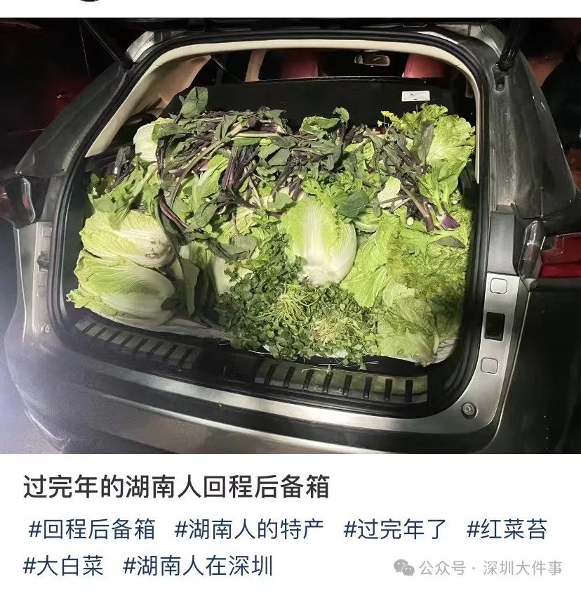 又又又开始了！东莞人的后备箱也太能装了，今年的“显眼包”是他们