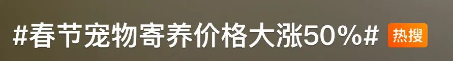 突然暴涨，到处排队！很多东莞人喊受不了！