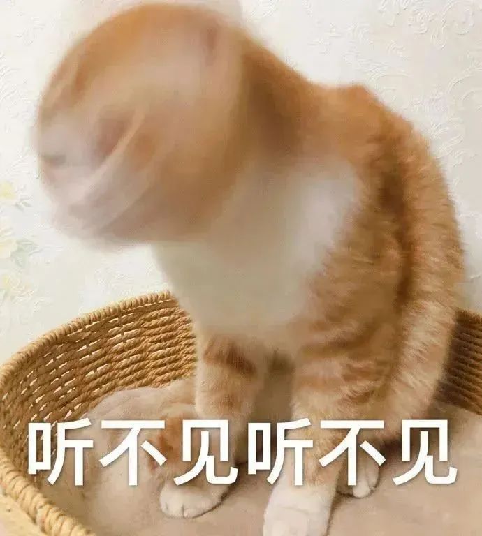 又又又开始了！东莞人的后备箱也太能装了，今年的“显眼包”是他们