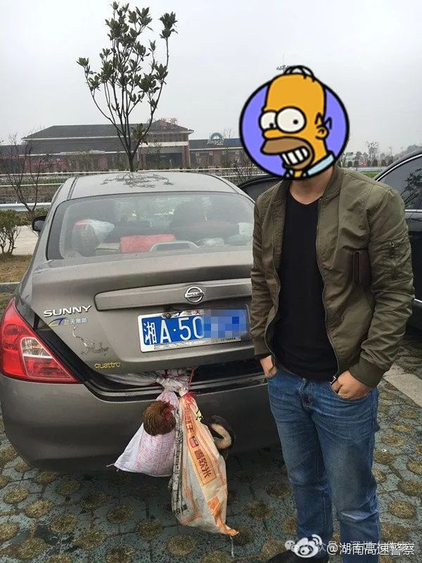 又又又开始了！东莞人的后备箱也太能装了，今年的“显眼包”是他们