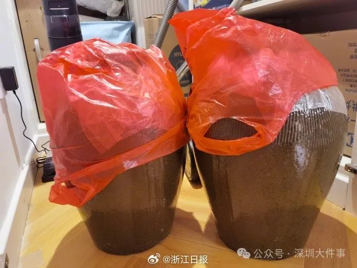 又又又开始了！东莞人的后备箱也太能装了，今年的“显眼包”是他们