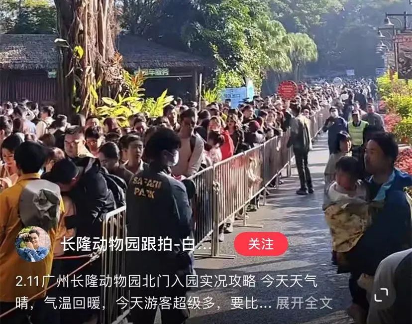 人从众！东莞人都去了这里！你去了吗？