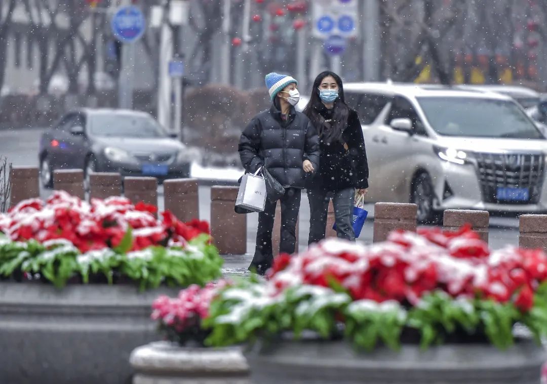 龙年首场寒潮来了！冷空气初七到广东，返程天气→
