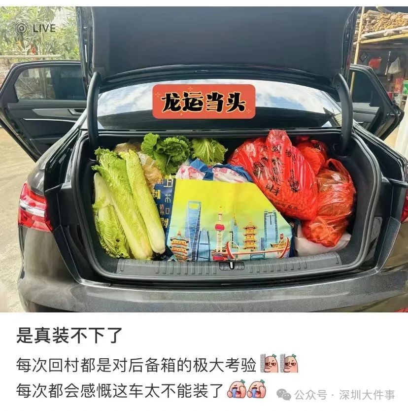 又又又开始了！东莞人的后备箱也太能装了，今年的“显眼包”是他们
