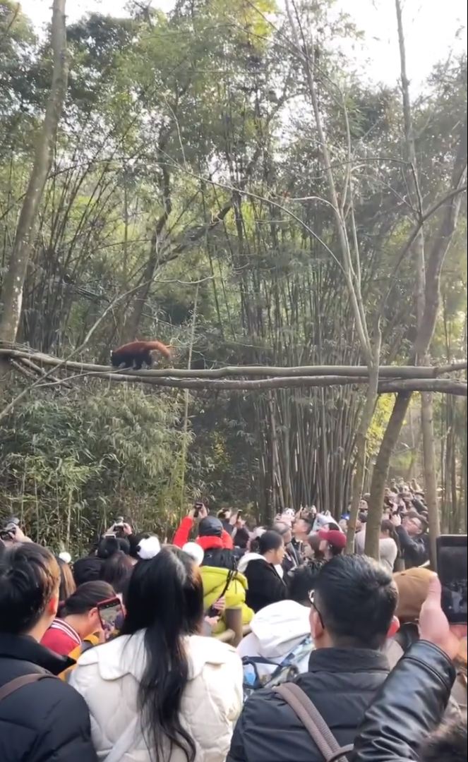 人人人你人人人！多地紧急通知：售罄、约满、临时管控！