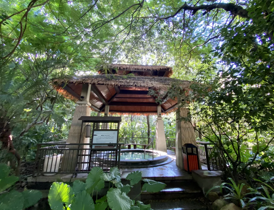 春节专场！68一大一小温泉门票！东南亚风『热带雨林温矿泉』来了！东莞首家！
