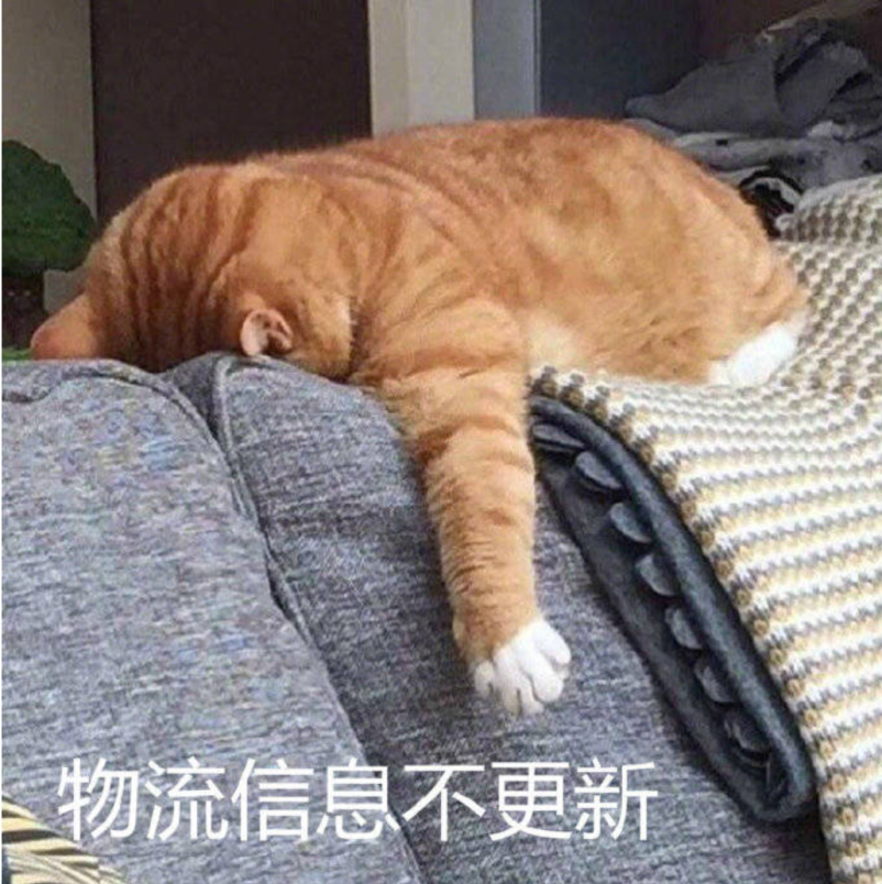 突然暴涨，到处排队！很多东莞人喊受不了！