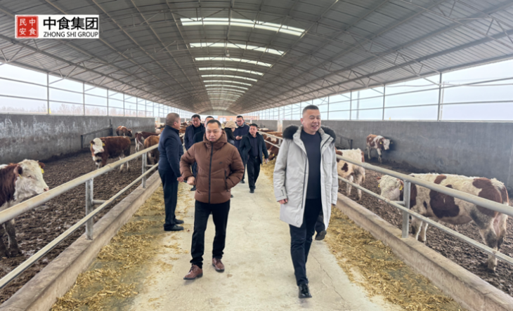 中食集团&鄂托克前旗政府达成深度合作，助力当地农业产业发展提档升级
