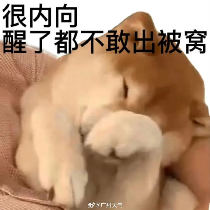 回南天杀到！东莞下周重回20℃+！还有冷空气……