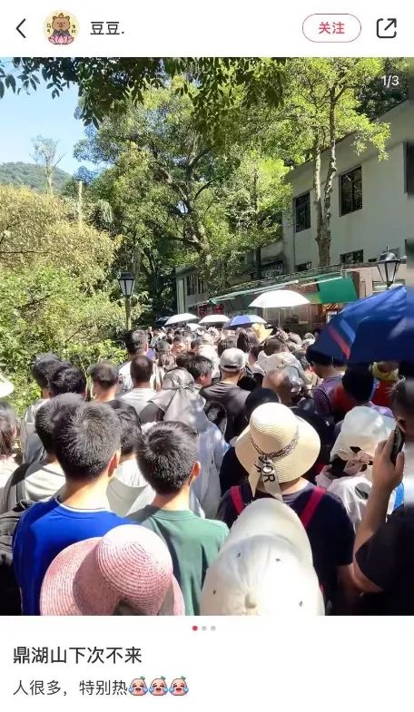 “挤爆公厕过夜”“停车费30元/小时”……东莞网友吐槽：没苦硬吃