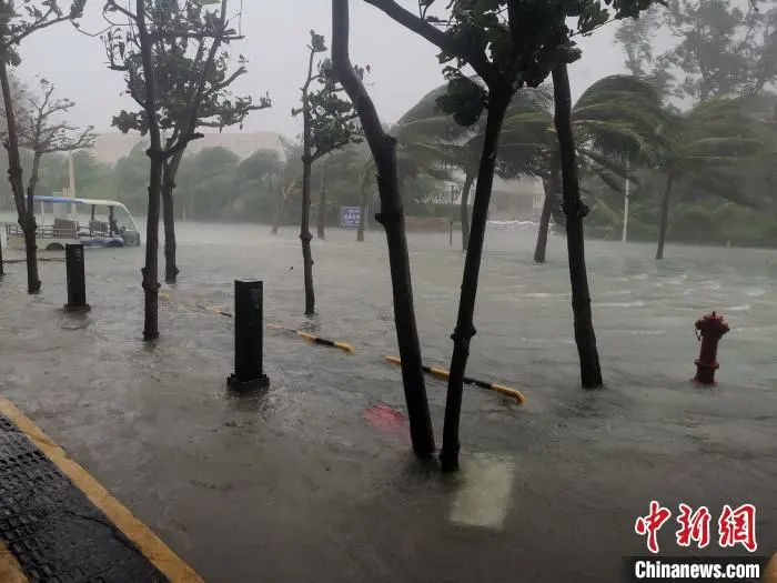气温骤降！台风“潭美”登陆！出现极为罕见情况！东莞未来天气→