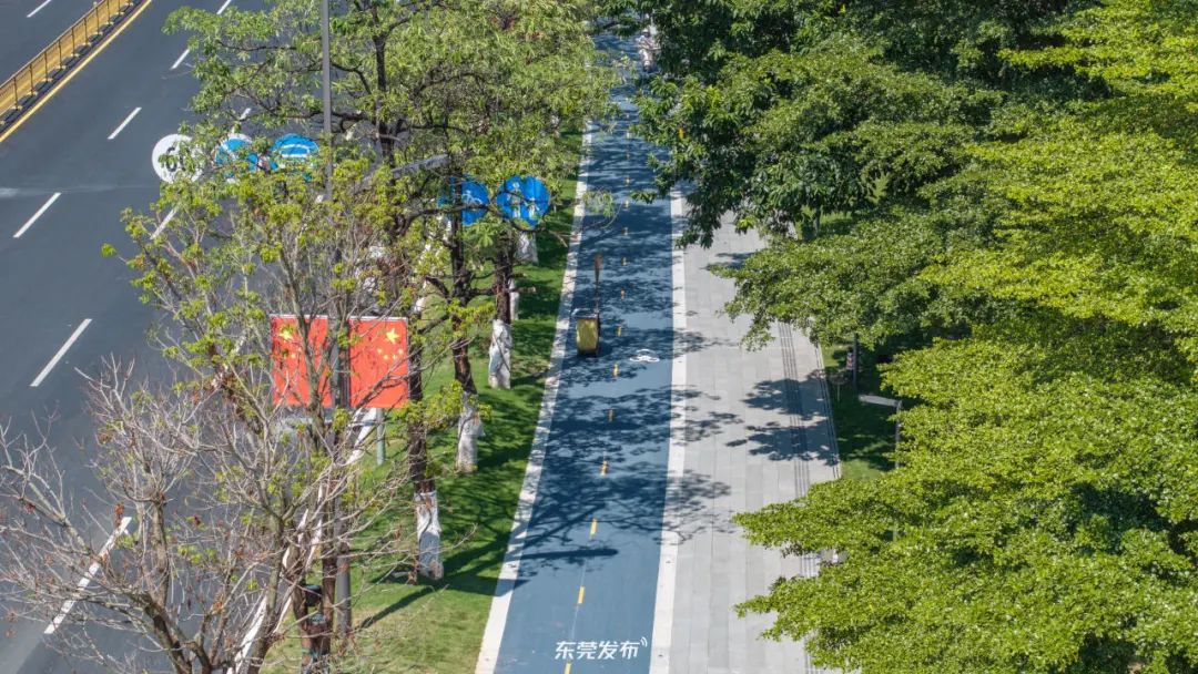 东莞市中心新增一公园！就在鸿福路！遛娃好去处！