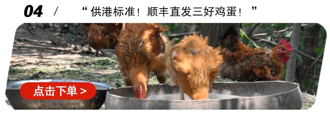 荣耀上市！卖光的速度就像龙卷风！今年压轴桃「金秋红蜜」甜！香！脆！树上养230+天但果期极短！