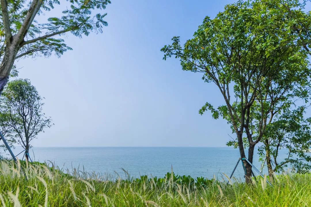 全新开放！东莞绝美观海公园，开阔的大海和草坪都在这里→