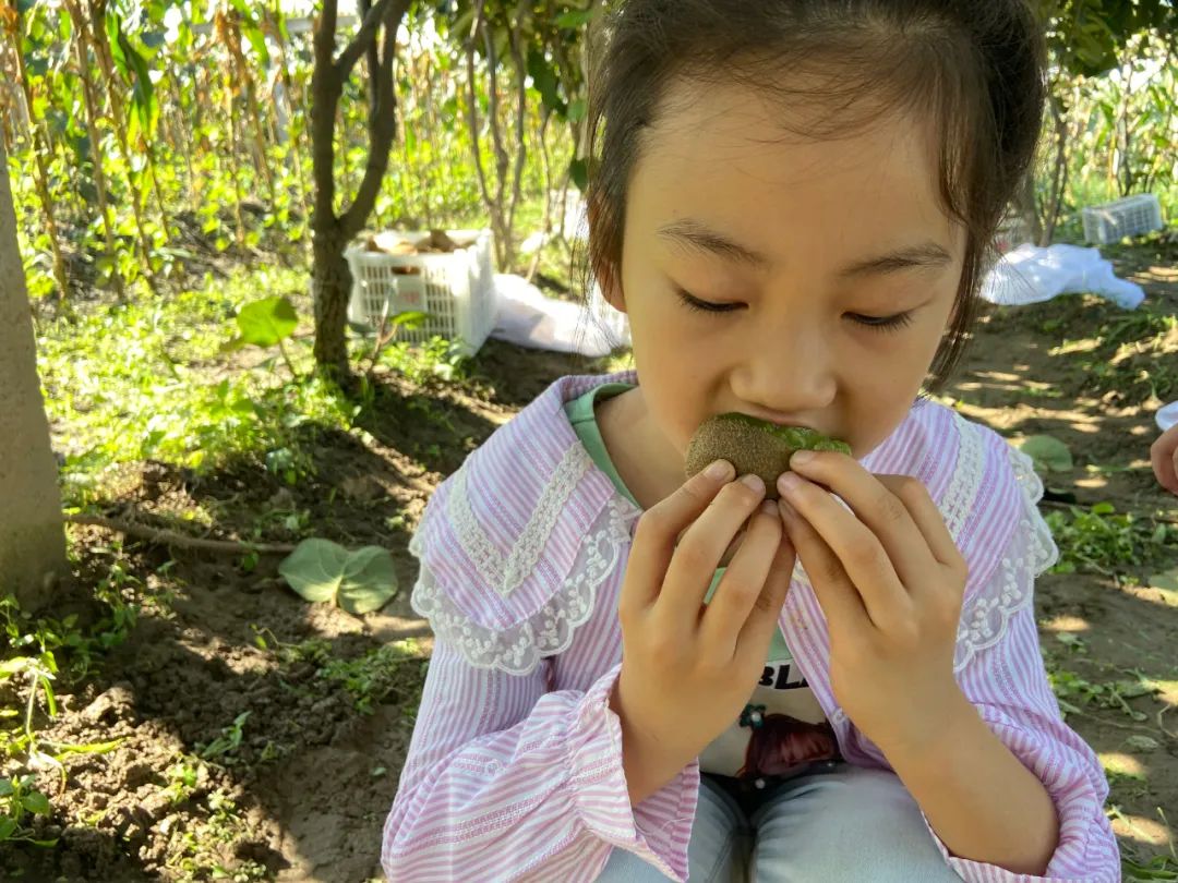 最后10天！好着急！超100万斤陕西猕猴桃成熟待销，香甜多汁，秦岭山下果农辛勤种植，邀您一起助力！