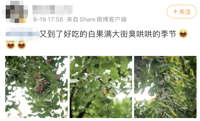 最近，这种果子在东莞大量上市！千万别多吃！