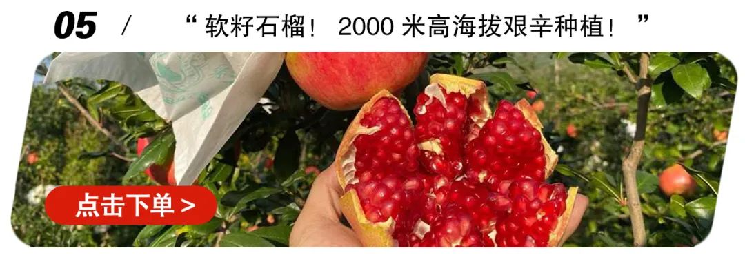 荣耀上市！卖光的速度就像龙卷风！今年压轴桃「金秋红蜜」甜！香！脆！树上养230+天但果期极短！