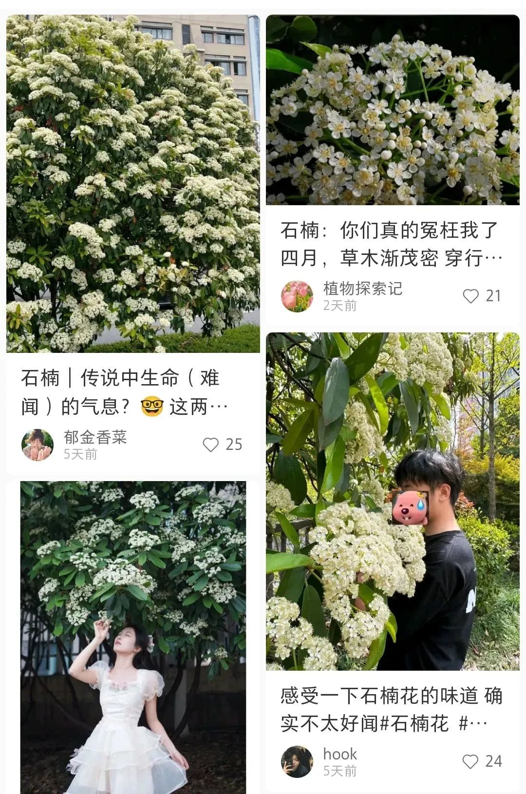 “恶心、想吐”，东莞街头很多人闻到了！原因是...