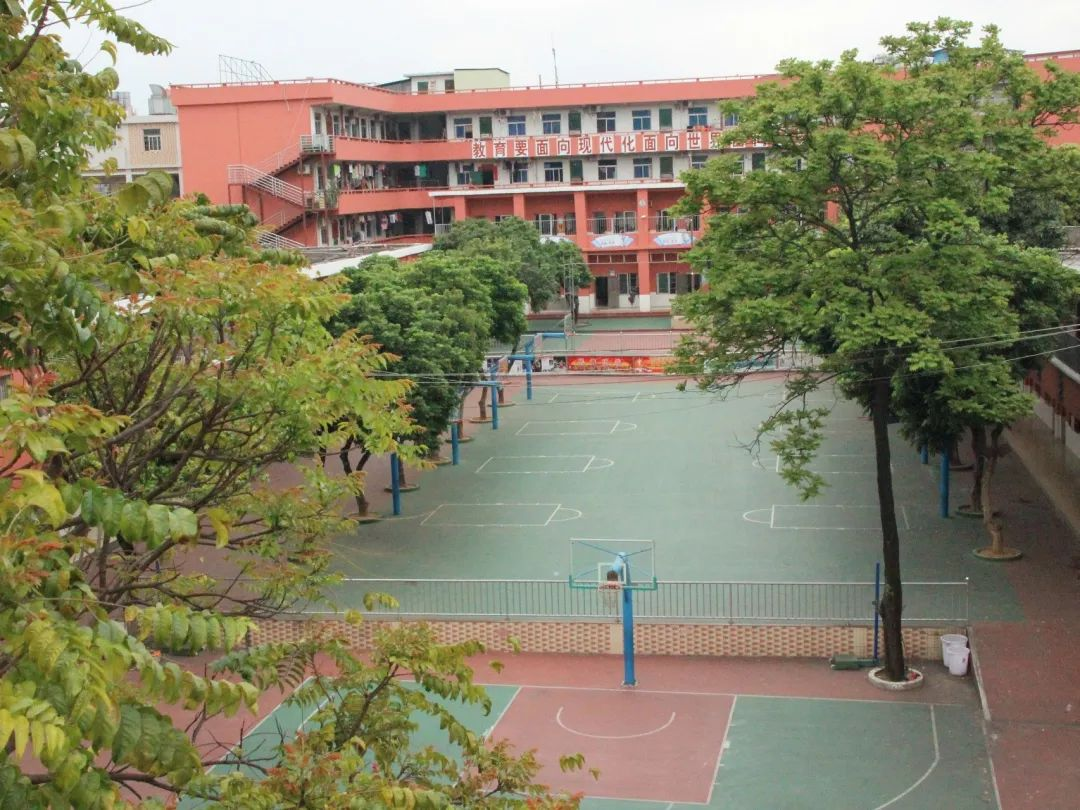 太意外！东莞一老牌学校停办，已开办20年！