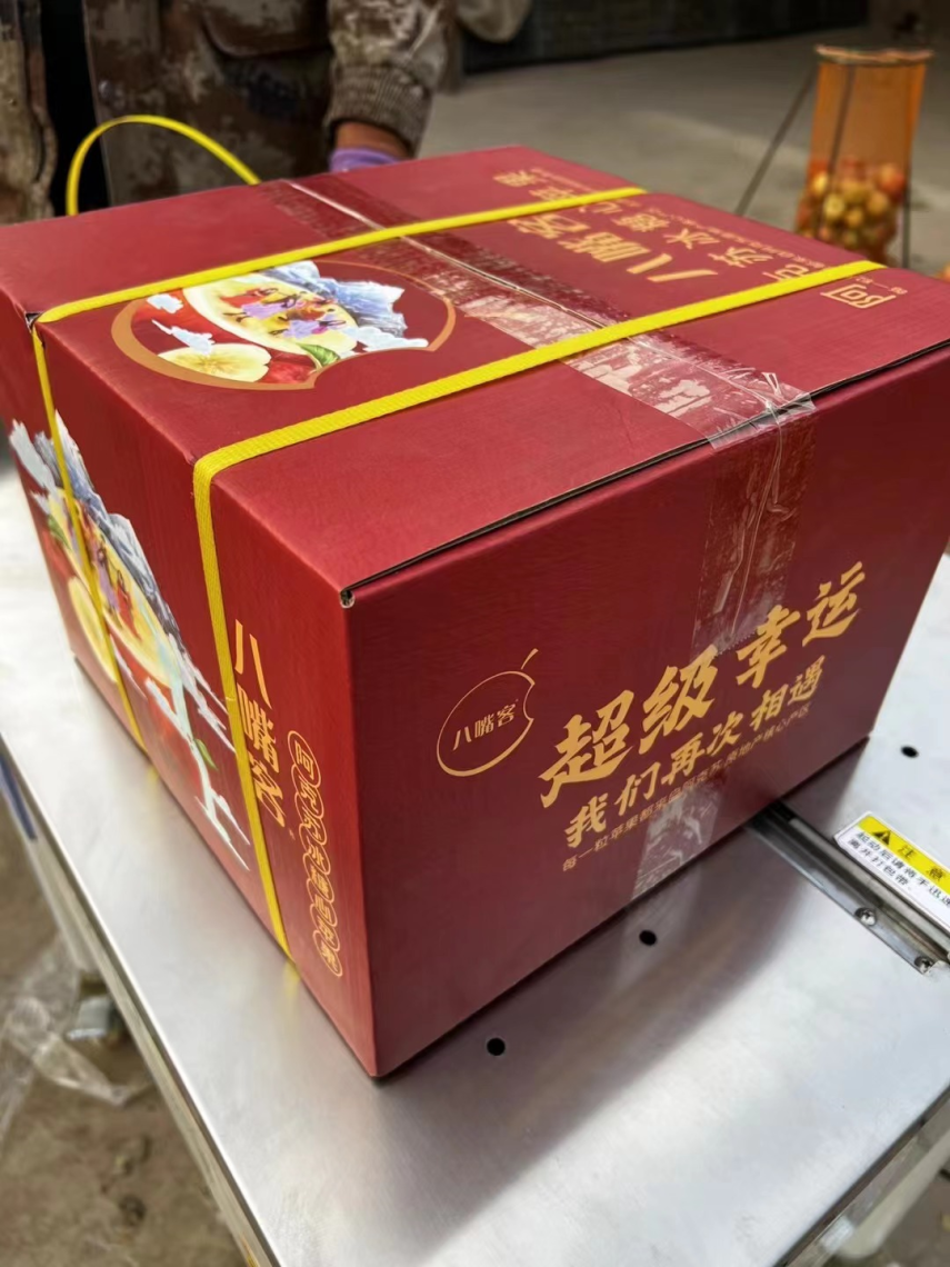 刚下树！天山脚下，新疆阿克苏甜苹果熟啦！3次霜冻洗礼，来自北纬41°的甜蜜~