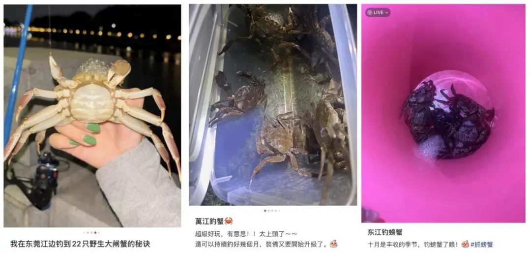 奇观！最近好多东莞人顶着寒风守在东江边？