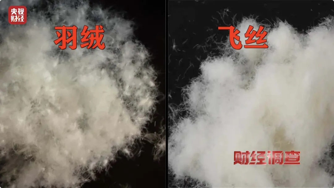 刚刚！央视曝光：假的！假的！假的！