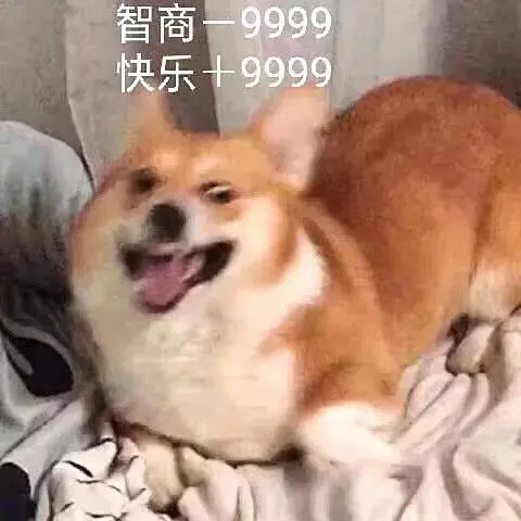 0天！东莞最新放假通知！"