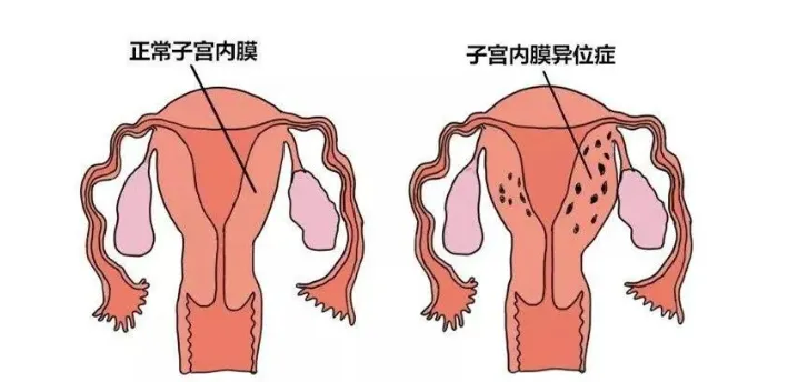 最新明确！可连放2天假！东莞人：建议全国统一！