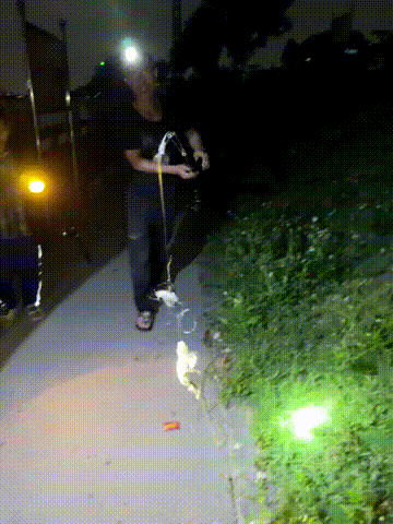 奇观！最近好多东莞人顶着寒风守在东江边？