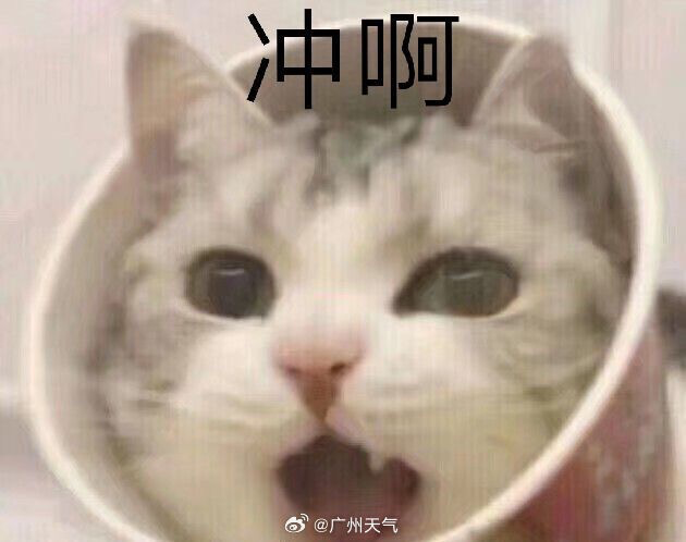 广东人一夜“脱单”！冷空气+台风+降雨……湿冷魔法又要来了