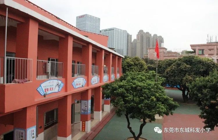 太意外！东莞一老牌学校停办，已开办20年！
